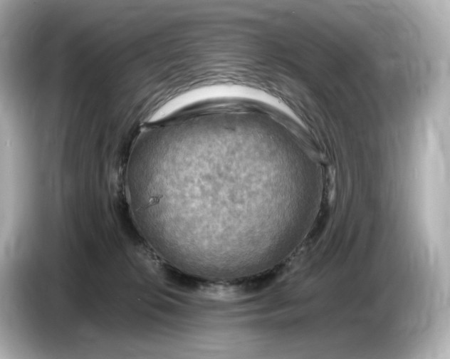 X0000087010276200704301424