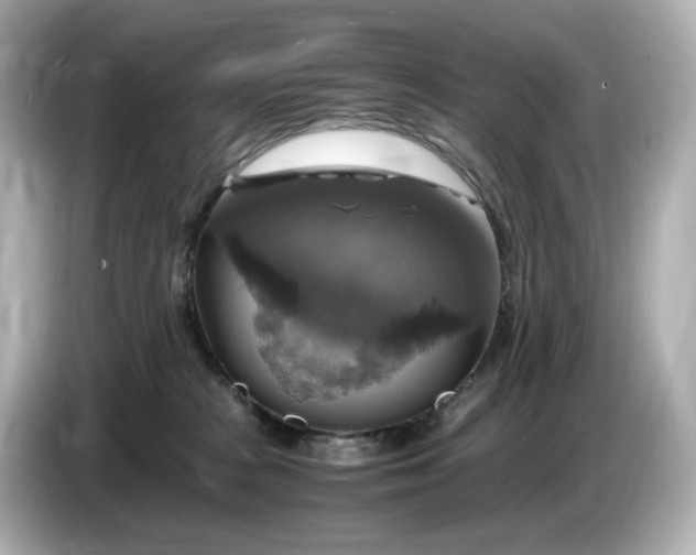 X0000087010277200704301424