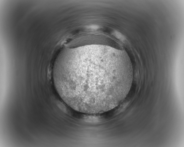 X0000087010282200704301424