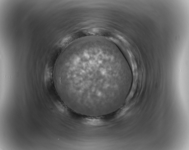 X0000087010284200704301424