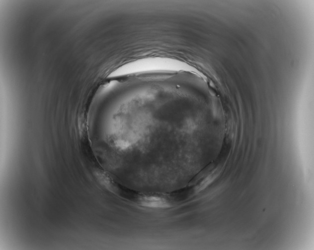 X0000087010285200704301424