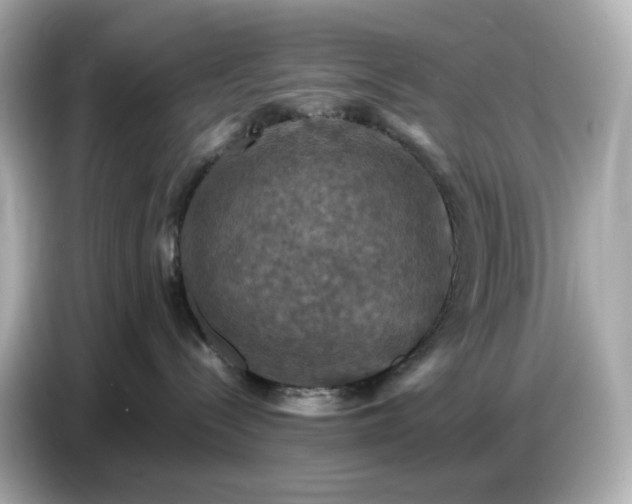 X0000087010288200704301424