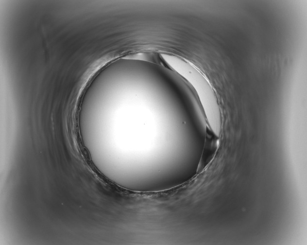 X0000087010289200704301423