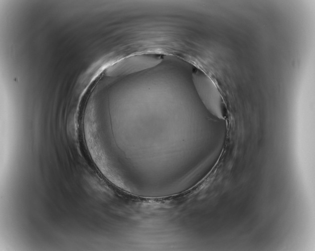 X0000087010290200704301423