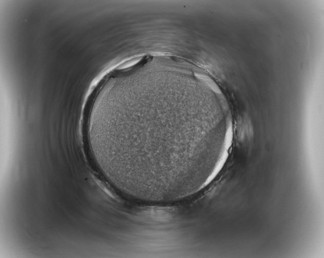 X0000087010292200704301423