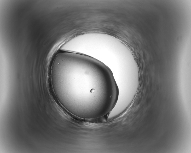 X0000087010293200704301423