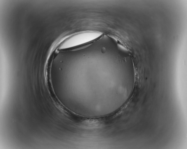 X0000087010294200704301423