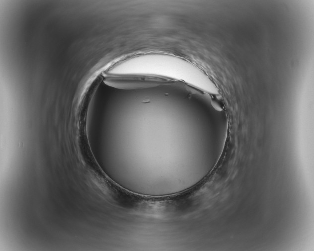 X0000087010295200704301423