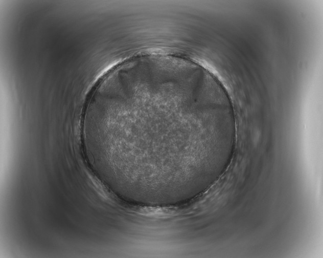 X0000087010297200704301423