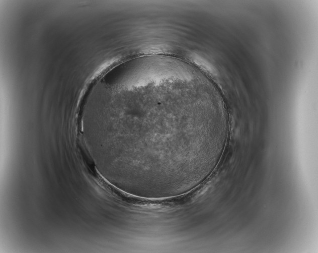 X0000087010298200704301423