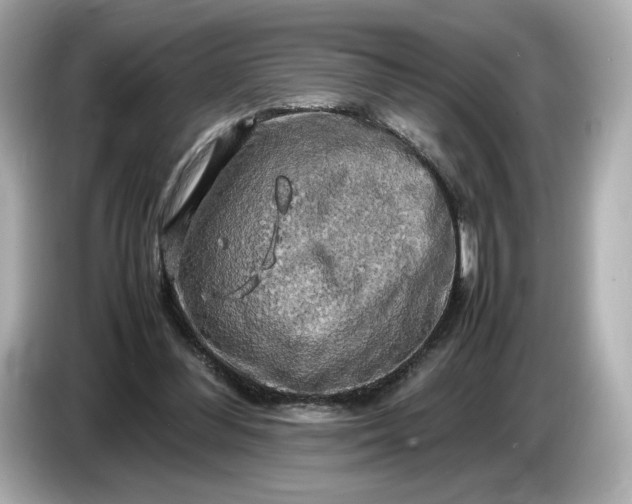 X0000087010300200704301423