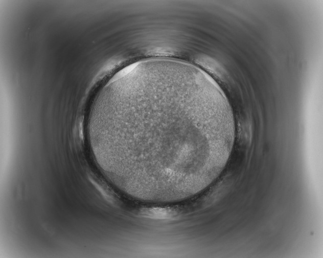 X0000087010302200704301423