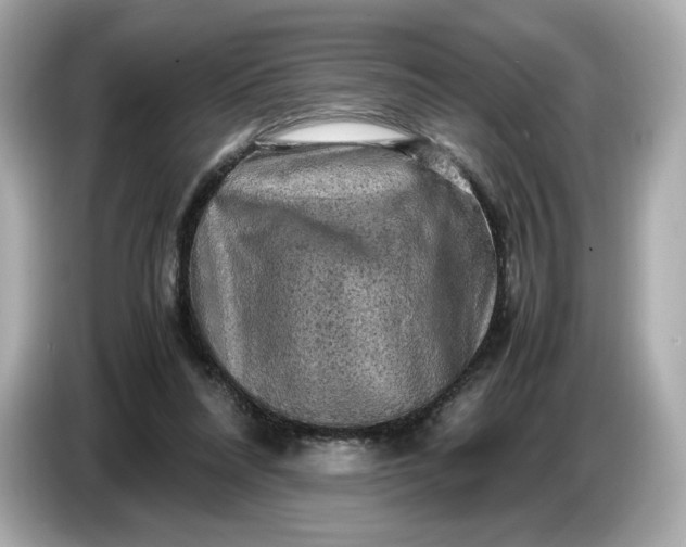 X0000087010304200704301423