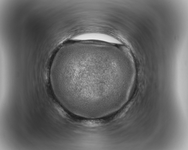 X0000087010305200704301423