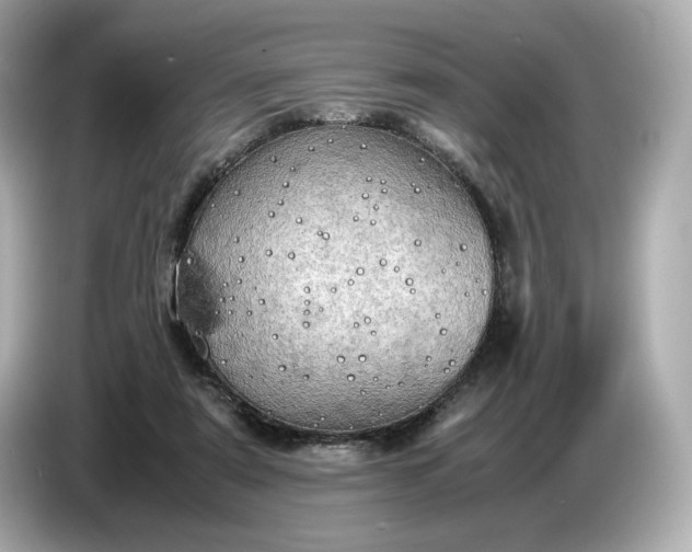 X0000087010307200704301423