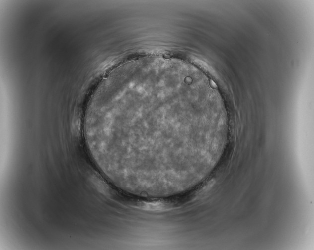 X0000087010309200704301423