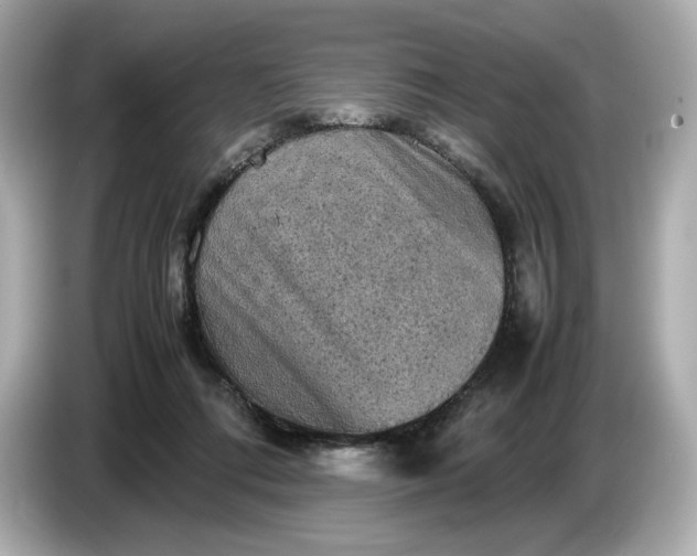 X0000087010312200704301423