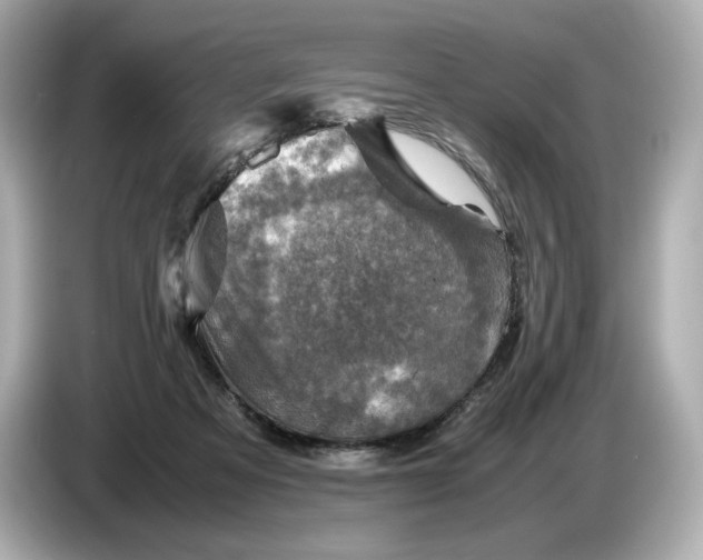 X0000087010313200704301423