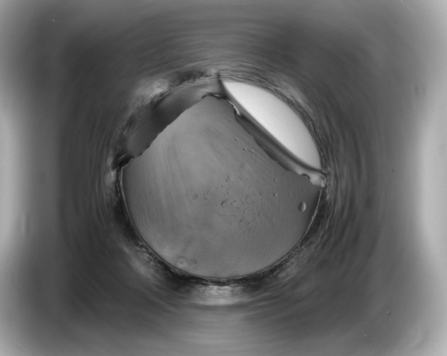 X0000087010314200704301423