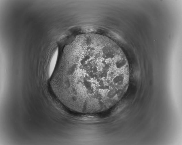 X0000087010315200704301423