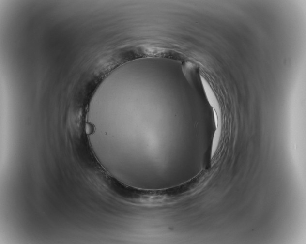 X0000087010319200704301423