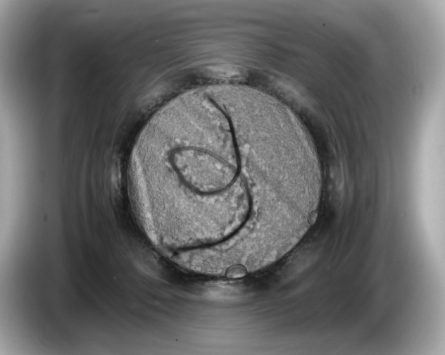 X0000087010320200704301423