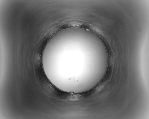 X0000087010321200704301423