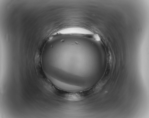 X0000087010322200704301423