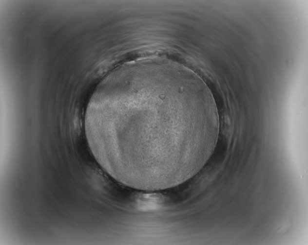 X0000087010324200704301423