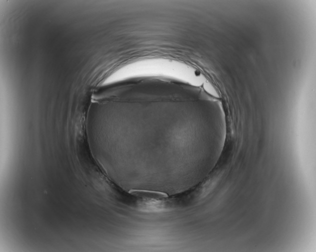 X0000087010325200704301423