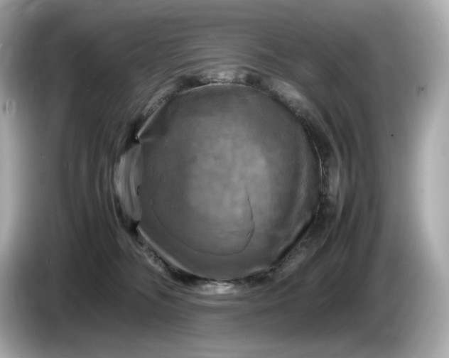 X0000087010326200704301423