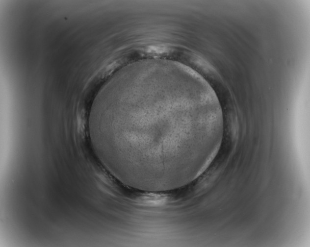 X0000087010328200704301423