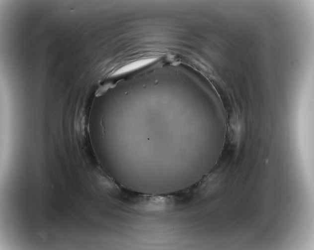 X0000087010330200704301423