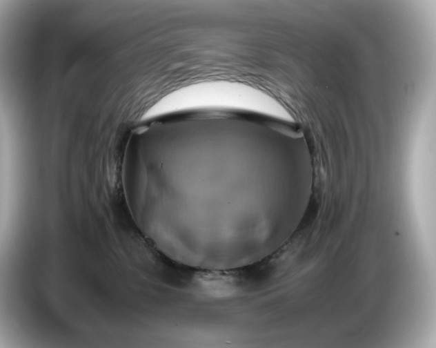 X0000087010331200704301423