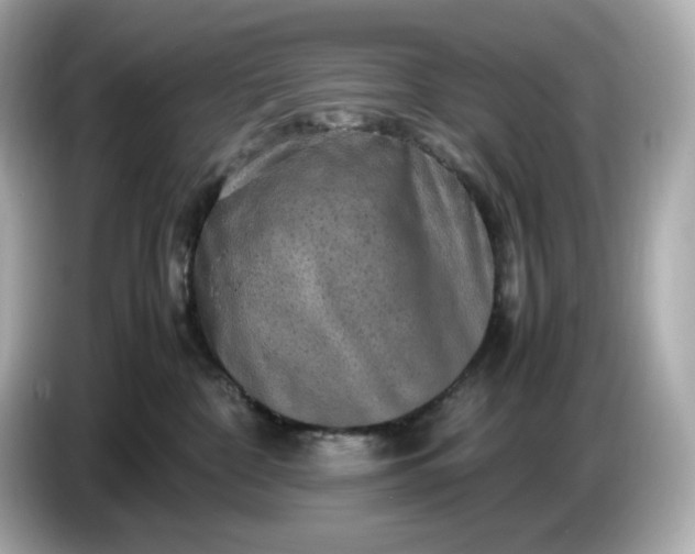 X0000087010332200704301423