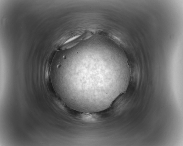 X0000087010334200704301423