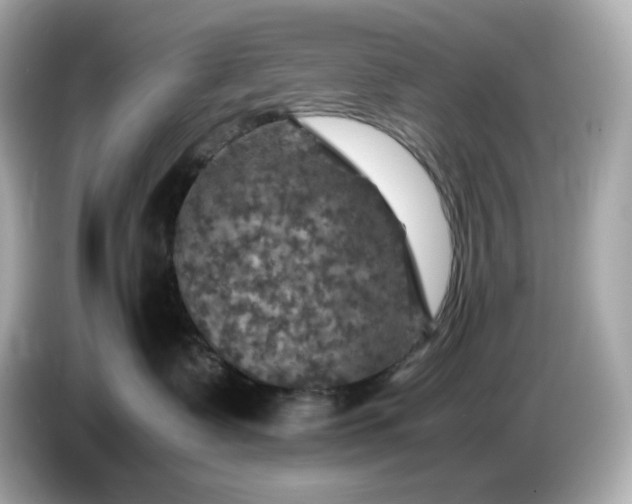 X0000087010335200704301423