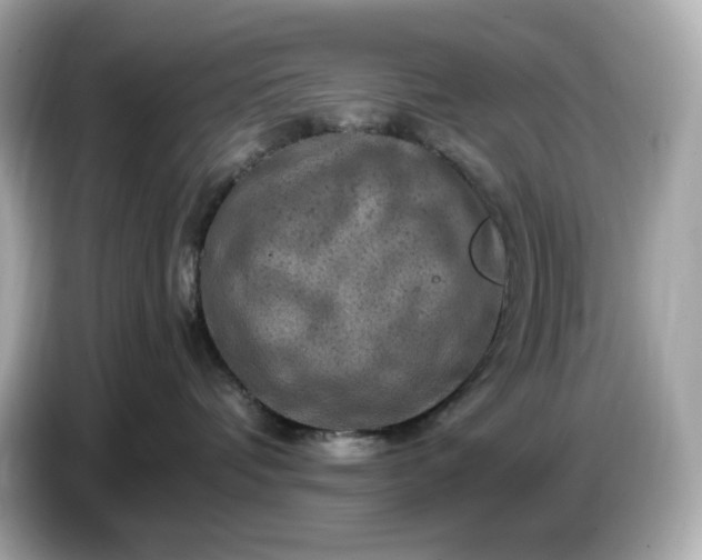 X0000087010336200704301423