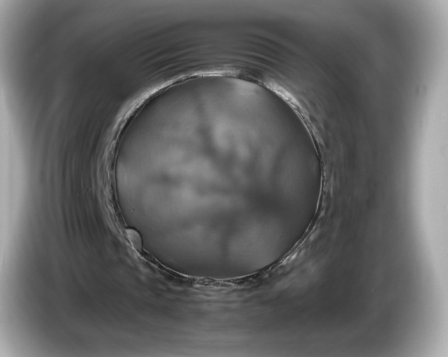 X0000087010337200704301422