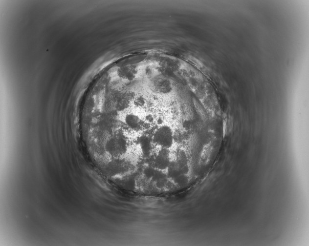 X0000087010339200704301422