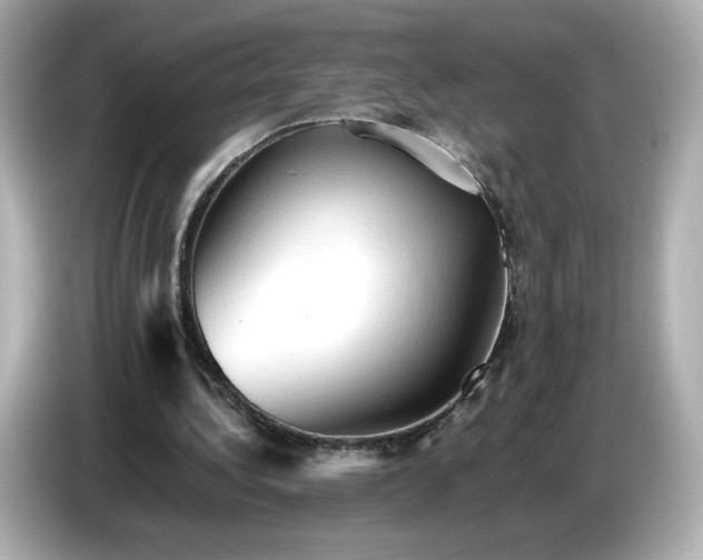 X0000087010340200704301422