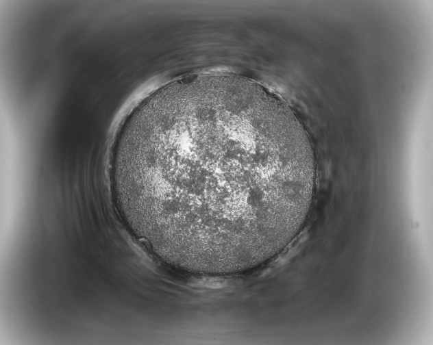 X0000087010341200704301422