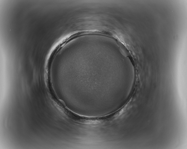 X0000087010342200704301422