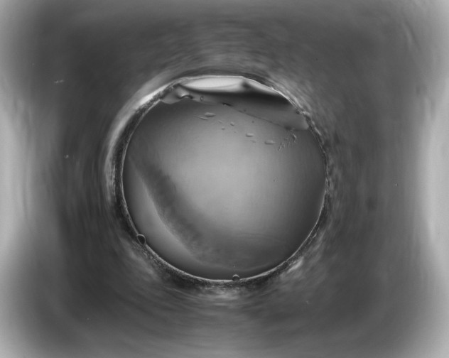 X0000087010343200704301422