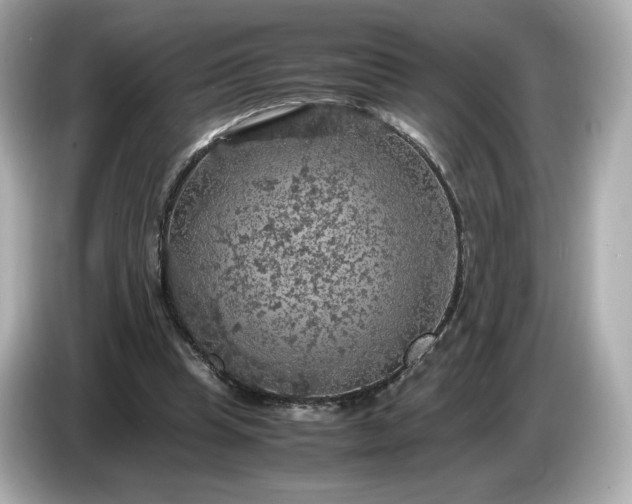 X0000087010345200704301422