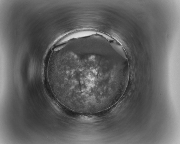 X0000087010346200704301422