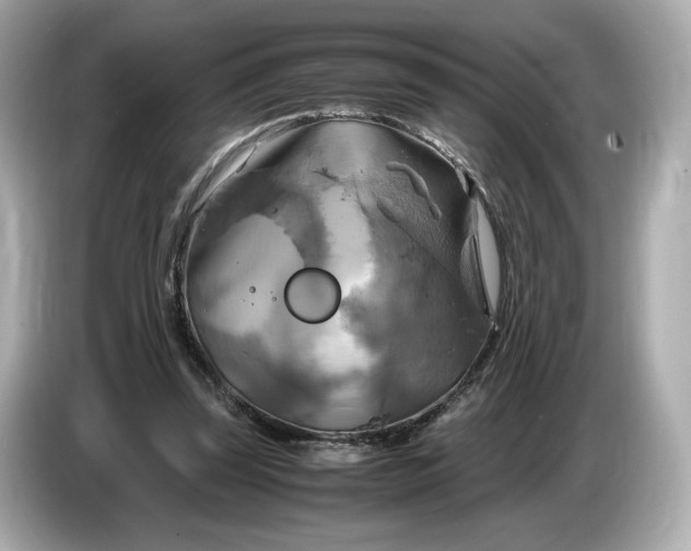 X0000087010347200704301422