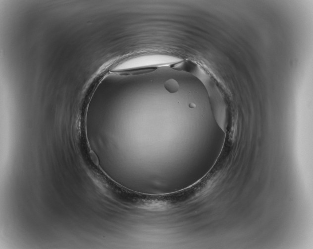 X0000087010348200704301422