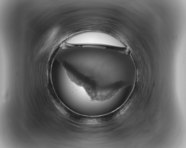 X0000087010349200704301422