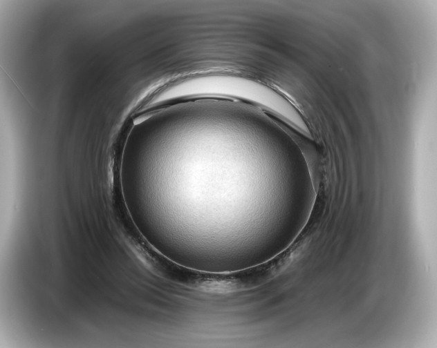 X0000087010350200704301422